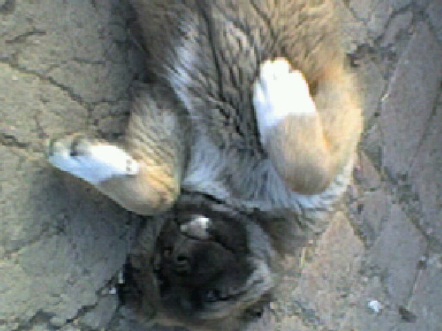 SP_A0344.jpg
