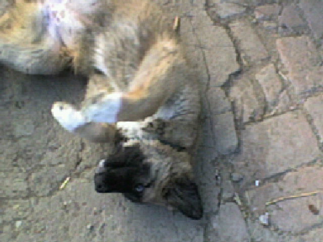 SP_A0347.jpg
