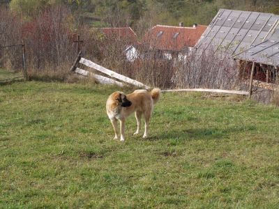 P1010046.JPG